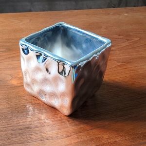Mirror Chrome Plant Cachepot